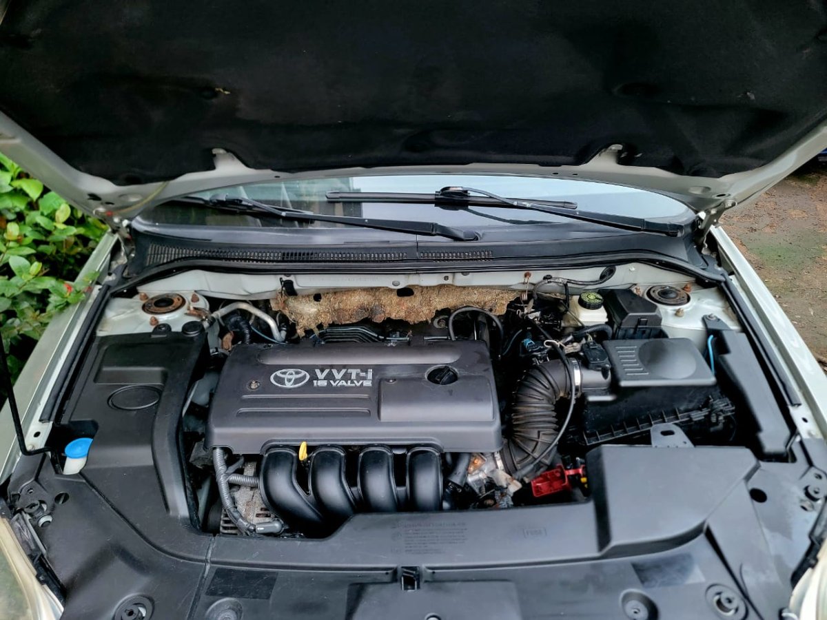 2005 Toyota  Avensis Tete Cochon thumbnail 5